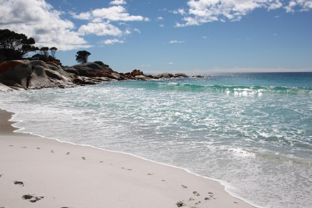 Binalong Beach Cottage Beachfront At Bay Of Fires Next To Restaurant Binalong Bay Buitenkant foto